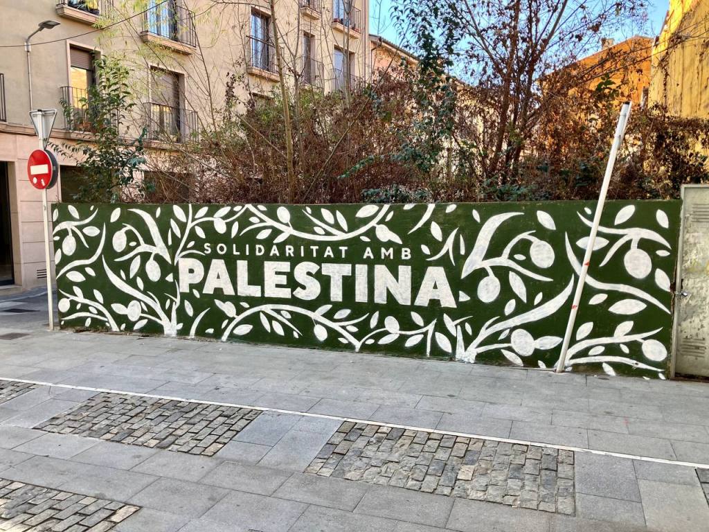 Manlleu: Solidaritat amb Palestina